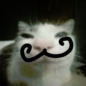 Meet your Posher, Doodie